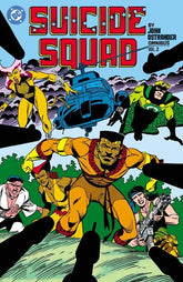DC Comics Graphic Novel SUICIDE SQUAD BY JOHN OSTRANDER OMNIBUS HC VOL 02 9781799508021 0126DC0280