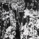 Den Sorte Dod Music > Vinyl Records Den Sorte Dod - Den Sorte Dod 694536563117 CYLW117.1