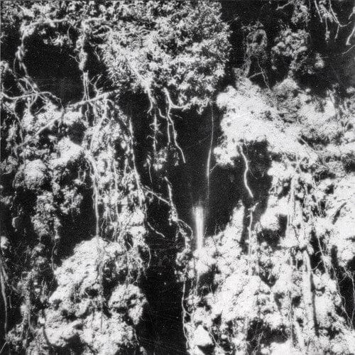 Den Sorte Dod Music > Vinyl Records Den Sorte Dod - Den Sorte Dod 694536563117 CYLW117.1