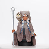 Diamond Select Toys Llc Toys > Statues > Other Statues Gentle Giant Ltd.: Star Wars - Ahsoka Tano 1/6 Bust (Rebels) 699788849767 JUL222486