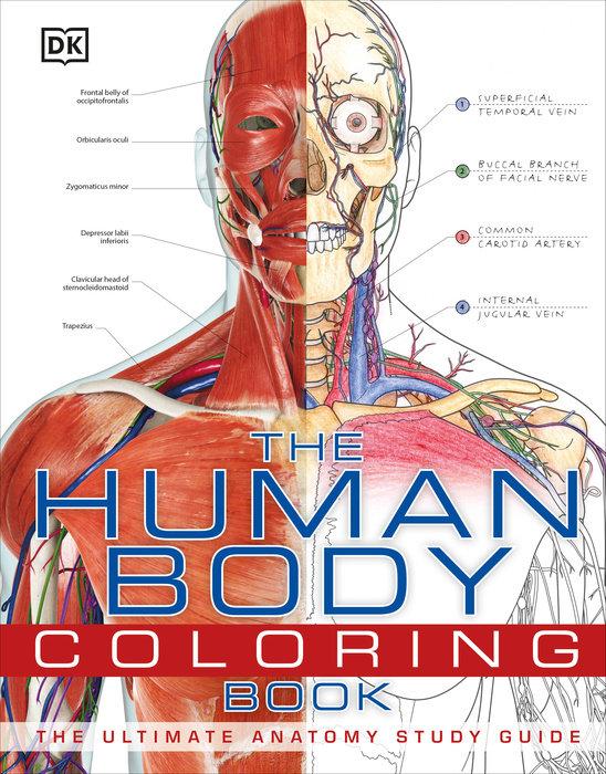 The Human Body Coloring Book: The Ultimate Anatomy Study Guide (Paperback)