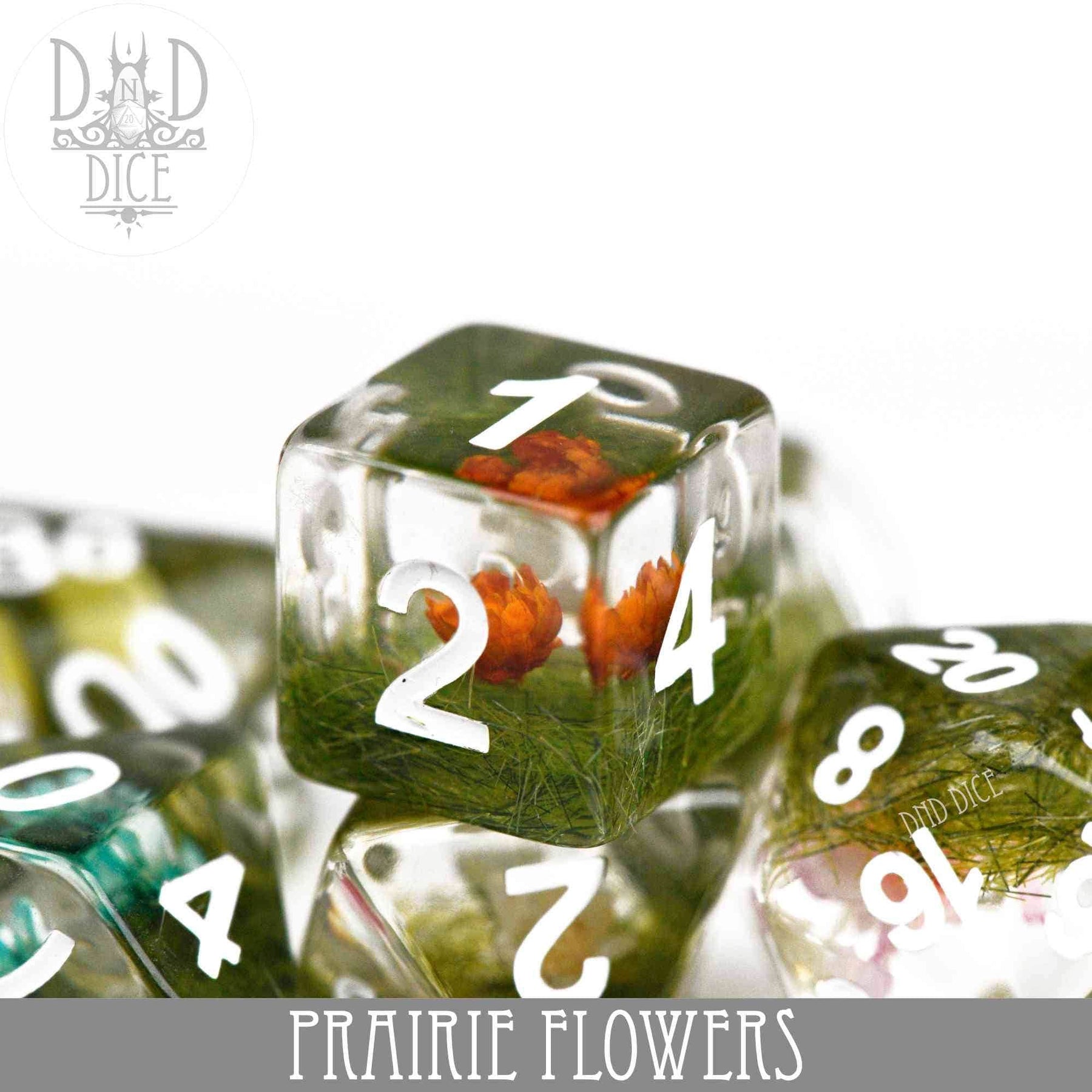 DNDDICE.COM Dice > Other Dice Prairie Flowers 758890746378 PR07PRAIRIE