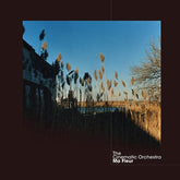 Domino Music > Vinyl Records The Cinematic Orchestra - Ma Fleur 801390015113 DOMI151.1