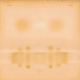 Dr. Dog Music > Vinyl Records Dr. Dog - Dr. Dog 617308070248 WBUY15.1