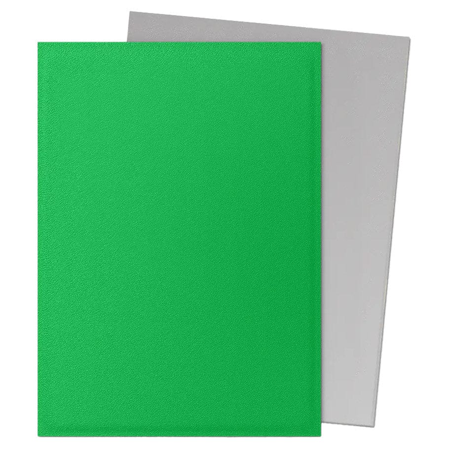 Dragon Shield Game Supplies > Card Sleeves Dragon Shield: Dual Matte Deck Protector 100ct - Apple Green & Silver 5706569150730 ATM15073