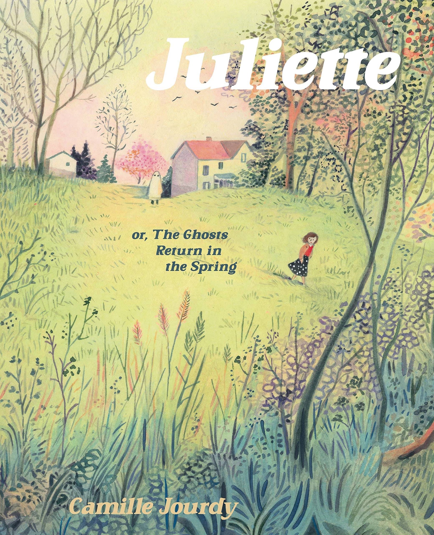 DRAWN & QUARTERLY Graphic Novel Juliette GN (MR) 9781770466647 APR231390