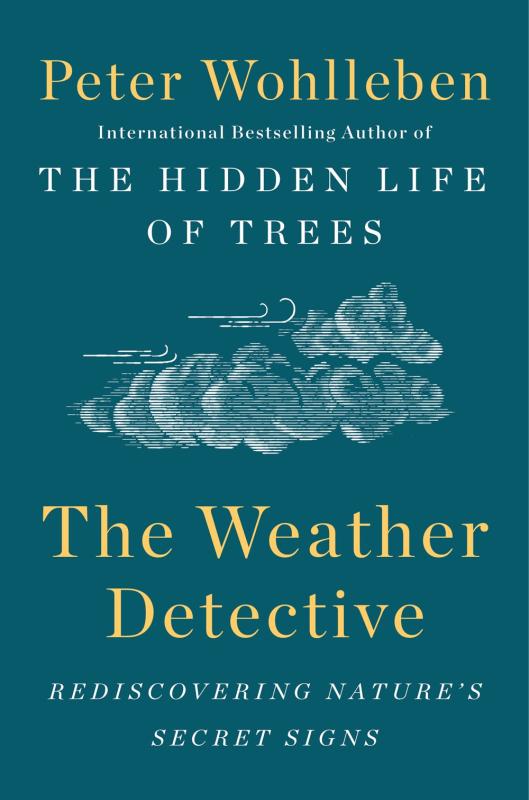 The Weather Detective: Rediscovering Nature's secret signs (Hardcover)