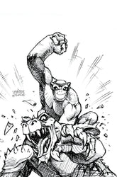 DYNAMITE Comic Books HERCULOIDS #7 CVR G 1:15 INCV LINSNER LINE ART VIRGIN 72513035274307071