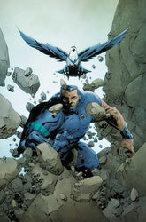 Dynamite Comic Books > Incentives SILVERHAWKS #8 CVR O INC 1:25 JAE LEE JUNE CHUNG VIRGIN VAR 72513035158608151 0725DE1721