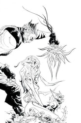 Dynamite Comic Books > Incentives THUNDERCATS #19 CVR T INC 1:7 JAE LEE LINE ART VIRGIN VAR 72513034116719201 0825DE8140