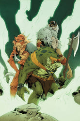 THUNDERCATS #3 CVR T 1:30 INCV LEE & CHUNG VIRGIN