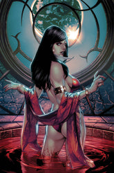 VAMPIRELLA DARK REFLECTIONS #1 CVR Q 1:20 INCV ANACLETO