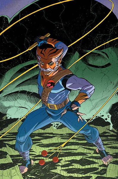 サンダーキャッツ Thundercats TYGRA ThunderCats Deluxe Tygra 7-Inch Action Figure