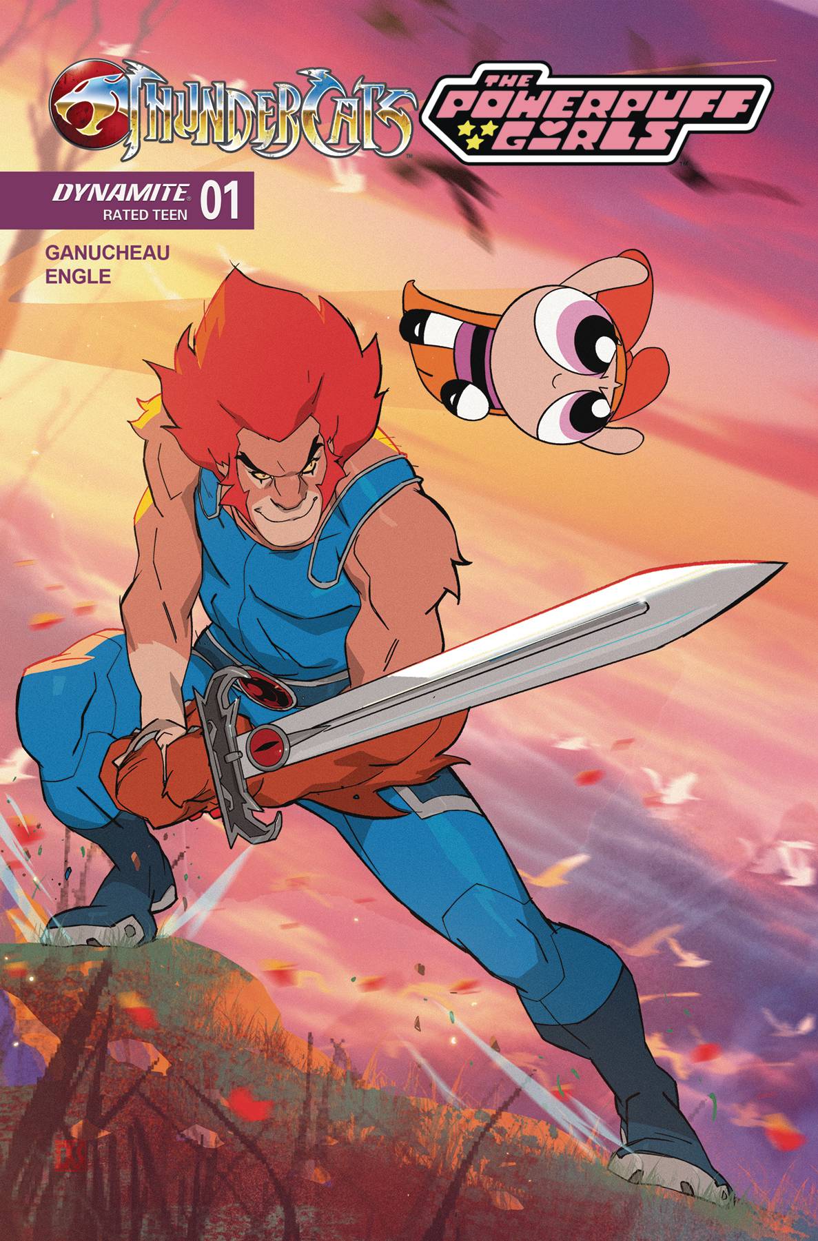 Dynamite Comic Books THUNDERCATS POWERPUFF GIRLS #1 CVR C STONE 72513035569001031 APR250012