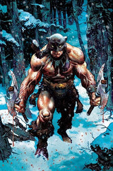 DYNAMITE Entertainment Comic Books > Incentives FIRE AND ICE DARKWOLF #1 CVR M INC 1:25 DAN PANOSIAN VIRGIN VAR 72513036401201131 0526DE0749
