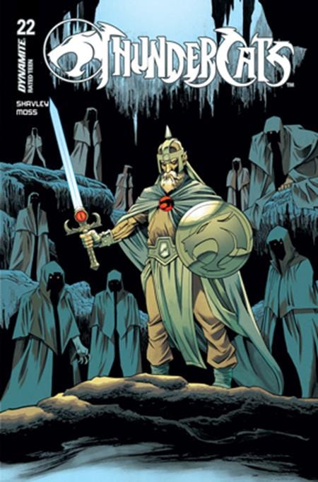 DYNAMITE Entertainment Comic Books THUNDERCATS #22 CVR B DECLAN SHALVEY VAR 72513034116722021 0925DE0663