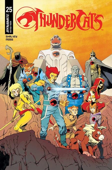 DYNAMITE Entertainment Comic Books THUNDERCATS #25 CVR B DECLAN SHALVEY VAR 72513034116725021 0126DE0690