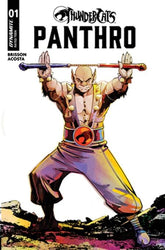 DYNAMITE Entertainment Comic Books THUNDERCATS PANTHRO #1 CVR B SEBASTIAN PIRIZ VAR 72513036050201021 0925DE0685