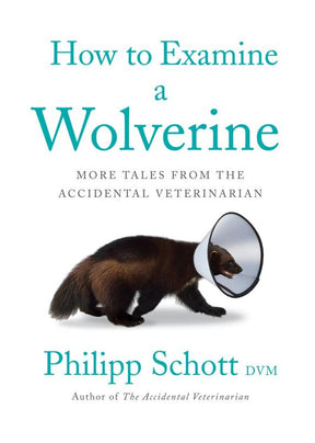 ECW Press Books > Art & Gifts > Novelties How to Examine a Wolverine: More Tales from the Accidental Veterinarian - Paperback 9781770415881 MC-32006