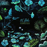 El Bzho - Cenotes