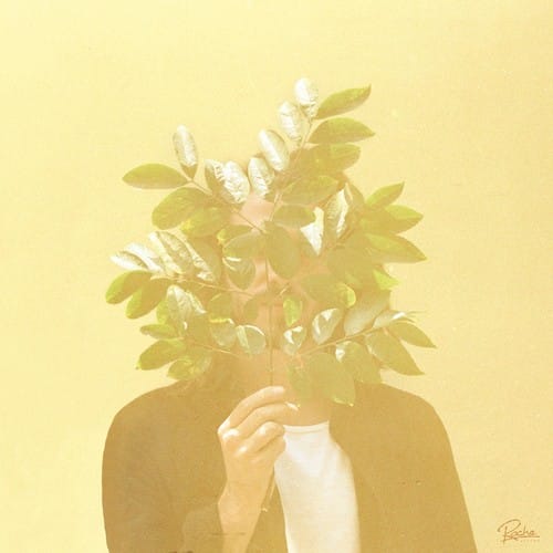 Empire Distribution INC Music > Compact Discs FKJ - French Kiwi Juice [CD] 3700187665036 ROCU40.2