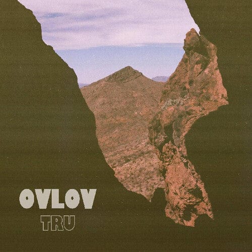 Exploding in Sound Music > Vinyl Records Ovlov - Tru (Colored Vinyl, Brown) 843563185735 EISD080.1