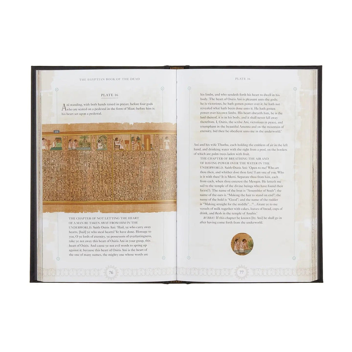 FAIRE Books The Egyptian Book of the Dead 9781789502237