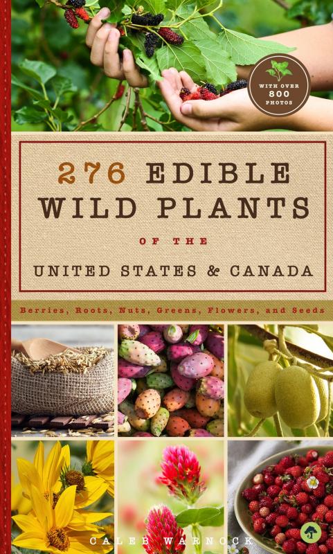 276 Edible Wild Plants of the United States and Canada: Berries, Roots, Nuts, Greens, Flowers, and Seeds in All or the Majority of the US and Canada (Paperback)