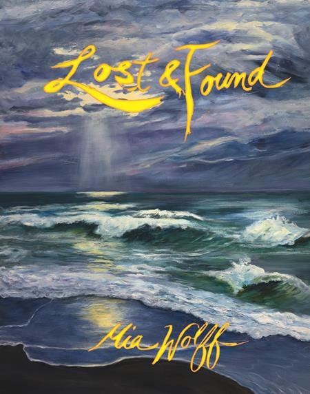 Fantagraphics Underground Graphic Novel LOST & FOUND HC (MR) 9798875001239 0825FU0814