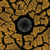 Fire Records Music > Vinyl Records Various Artists - Sand Worms (The Songs of Howe Gelb and Giant Sand) (Digital Download Card) 809236002556 FIRR698.1