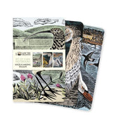 Flame Tree Studio Journals Angela Harding: Wildlife Set of 3 Mini Notebooks 9781804177501 2309066