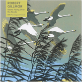 Flame Tree Studio Puzzles > Jigsaw Puzzles Flame Tree: 500pc Jigsaw - Swans Flying Over Reeds (Robert Gillmor) 9781839648410 ING-9781839648410