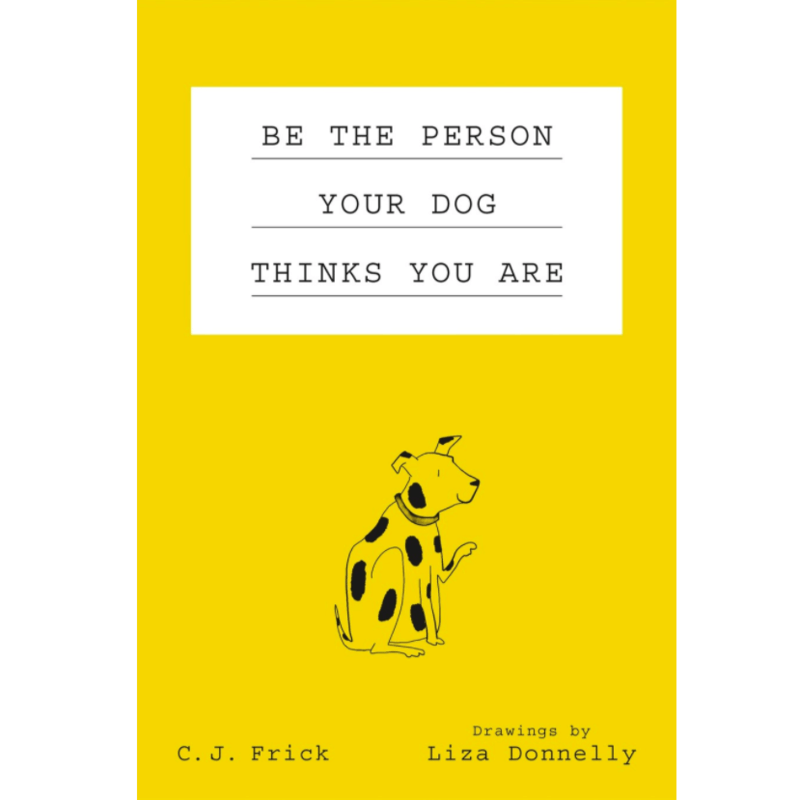 Flatiron Books Books > Art & Gifts > Pets Be the Person Your Dog Thinks You Are - Hardcover 9781250179692 MC-14076