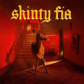Fontaines D.C. Music > Vinyl Records Fontaines D.C. - Skinty Fia 720841301615 PASN3016B.1