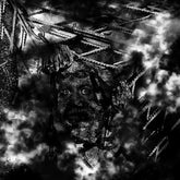 Full of Hell Music > Vinyl Records Full Of Hell - Suffocating Hallucination 197187736119 CCAS106.1