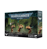 Games Workshop Tabletop Games > Games Workshop > Warhammer 40k > Blood Angels WARHAMMER 40K - BLOOD ANGELS: SANGUINARY GUARD 5011921227198 41-31