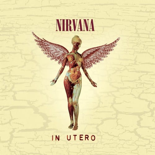 Geffen Records Music > Compact Discs Nirvana - In Utero (20th Anniversary Edition) [CD] 602537502950 GEFB001903802.2