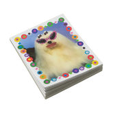 gentle thrills Stationery Diva Sticky Memo Pad 53847804 02NOTEP25D
