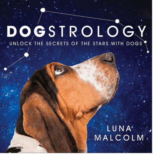 Grand Central Publishing Books > Art & Gifts > Pets Dogstrology: Unlock the Secrets of the Stars with Dogs - Hardcover 9781538737132 MC-28048