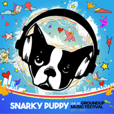 Ground Up Music > Vinyl Records Snarky Puppy - Live At Groundup Music Festival (RSD 2026 Exclusive) 199806011225 GNDP426.1