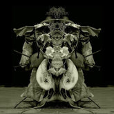 Gurun Gurun Music > Vinyl Records Gurun Gurun - Uzu Oto 574026586973 BUHD157.1