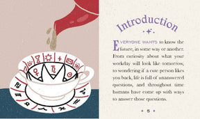 Hachette Book Group Books Divination: Introduction To Tarot, Runes, Tea Leaves 9780762473298 9780762473298