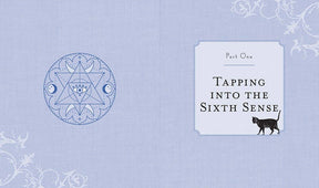 Hachette Book Group Books Psychic Spellcraft by Shawn Robbins 9781454943884 9781454943884