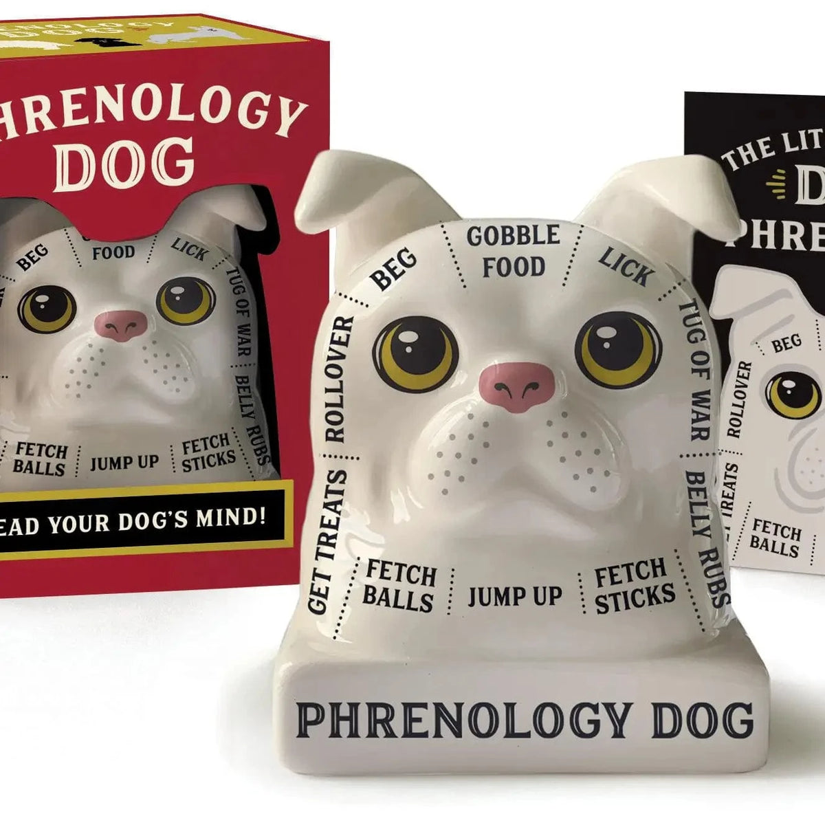 Hachette Book Group Toys > Art Toys Phrenology Dog: Read Your Dog's Mind! [Mini Kit] 9780762472666