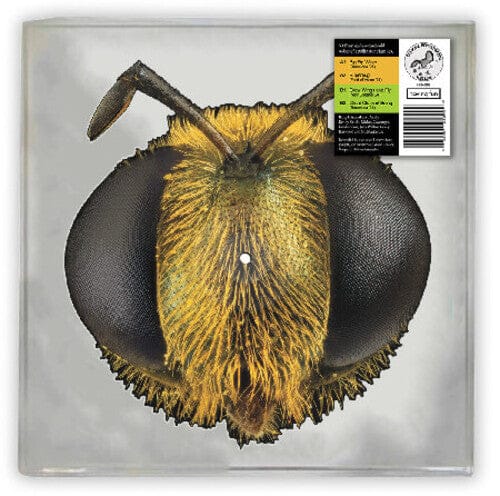 Having Fun Music > Vinyl Records King Gizzard and the Lizard Wizard - Big Fig Wasp (RSD) (RSD 2026 Exclusive) 634457242692 HAVF16.1