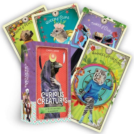 Hay House Tarot Cards Tarot Deck - The Tarot of Curious Creatures 9781401963262 1401963269