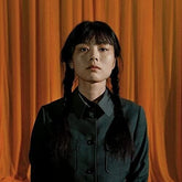 Hiperson Music > Vinyl Records Hiperson - Bildungsroman 4582561394485 PDAR25.1