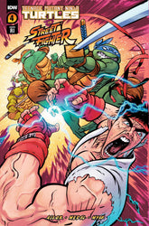 TMNT VS. STREET FIGHTER #4 (OF 5) CVR F 1:100 INCV JOHNSON