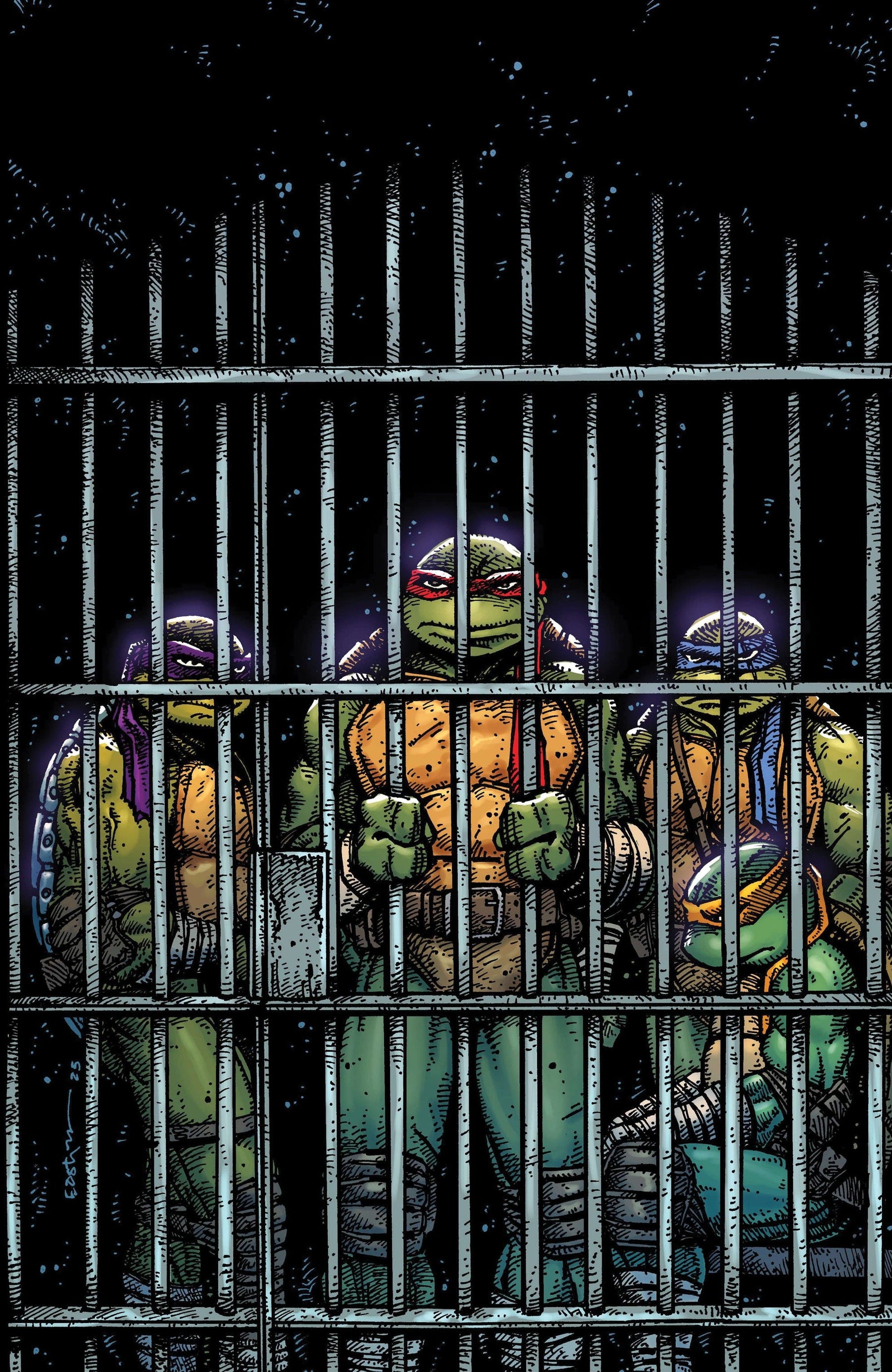 Teenage Mutant Ninja Turtles #11 1:10 INCV (Eastman Full Art)