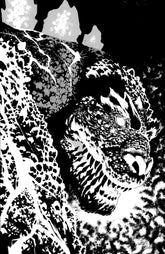 IDW Publishing Comic Books > Incentives The Horror of Godzilla [Kai-Sei Era] #1 1:50 INCV Varian RI (Jones B&W) 82771403545200161 PRH-82771403545200161